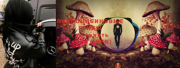 метадон Алексеевка